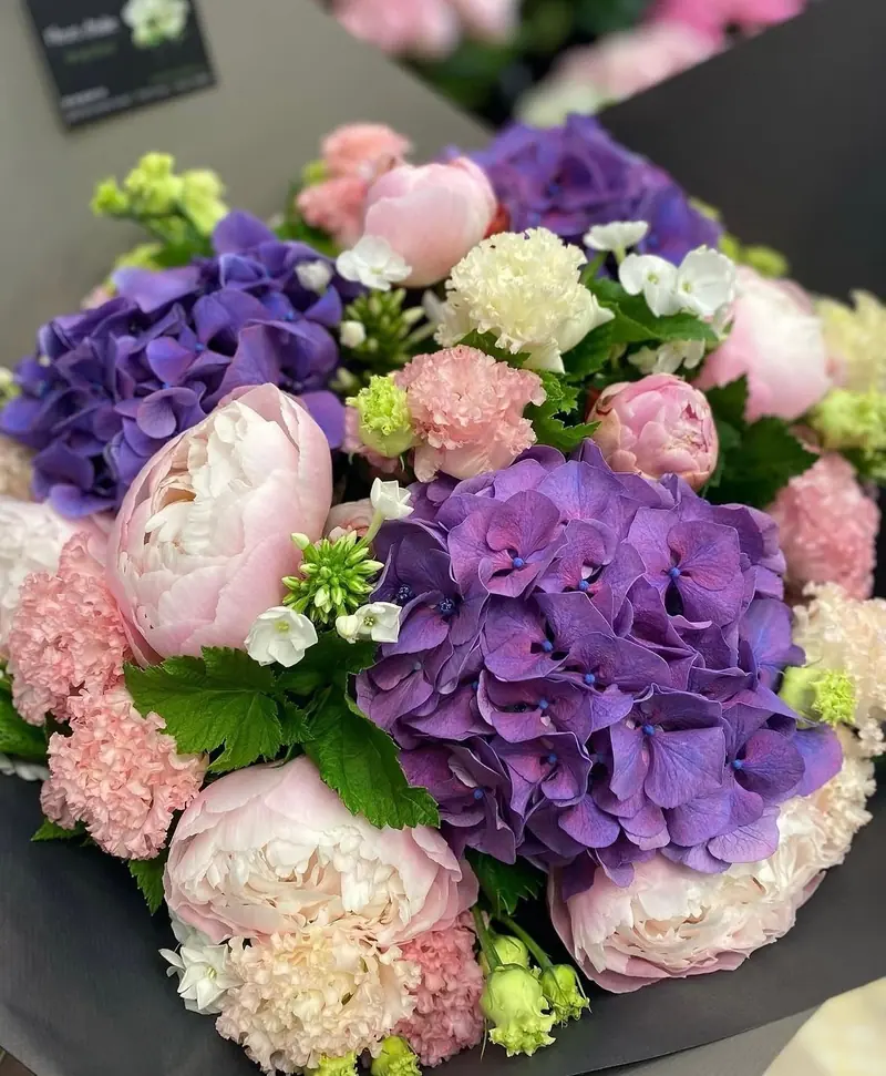 Fleurs pour naissance — Bouquet de naissance aux hortensias mauves et pivoines roses