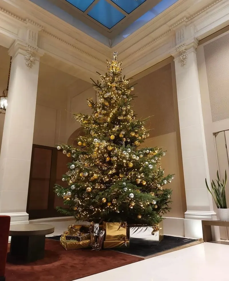 Sapin de Noël illuminé dans un hall à colonnes