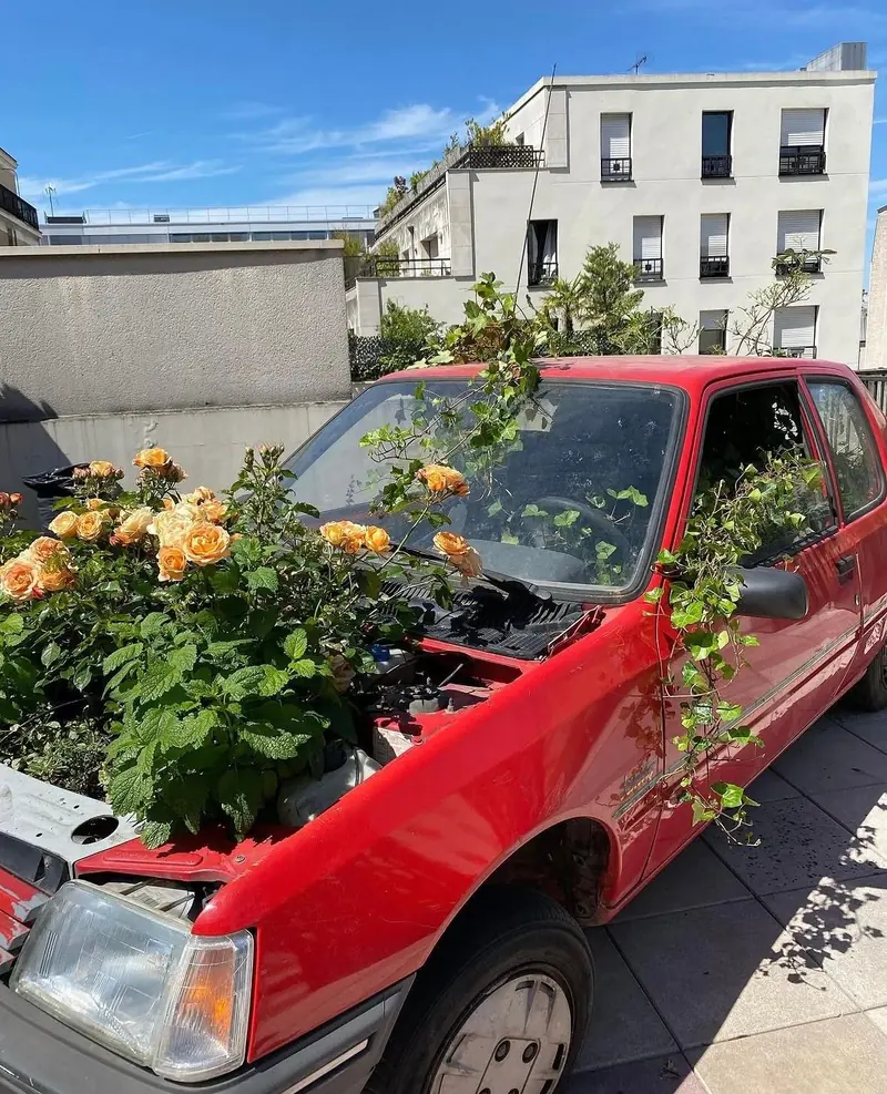 Plantations : une voiture rouge transformée en jardinière